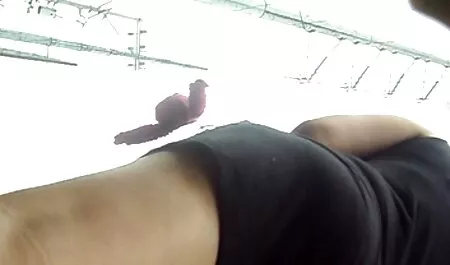 あなた一緒に日本の生徒は小さな部屋で細いです エロ い 動画 女性